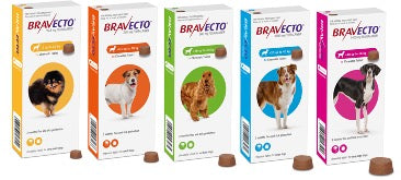 BRAVECTO TICK & FLEA PROTECTION