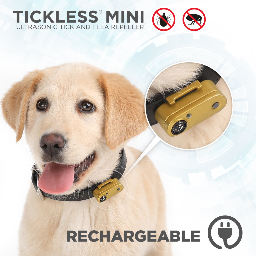 TICKLESS MINI