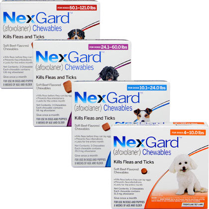 NEXGARD TICK & FLEA PROTECTION 3 X PILLS